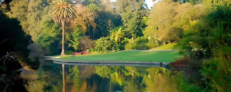 Melbourne Skyline & Gardens
