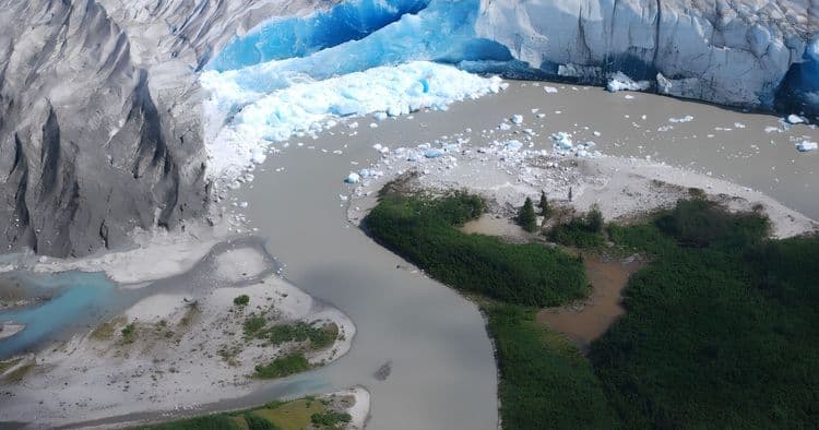 Taku Lodge Feast & 5-Glacier Seaplane Discovery