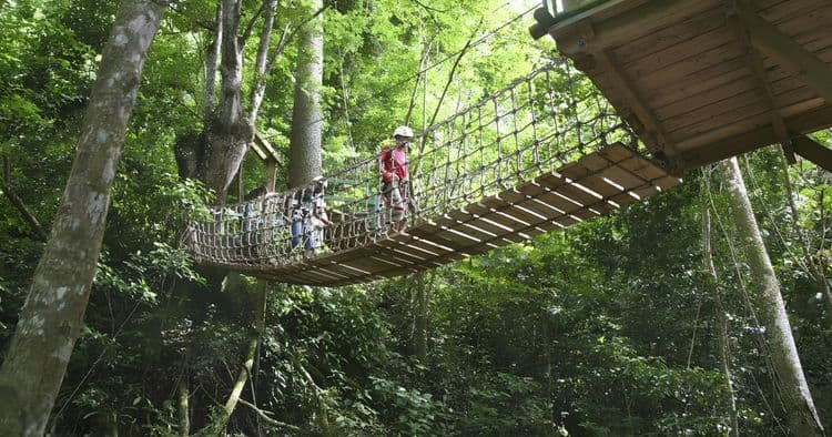 Canopy Tour & Challenge Course