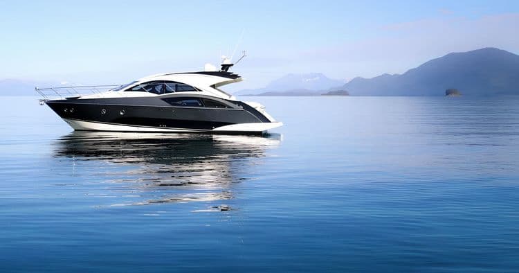 Luxury Whale Watching by Yacht