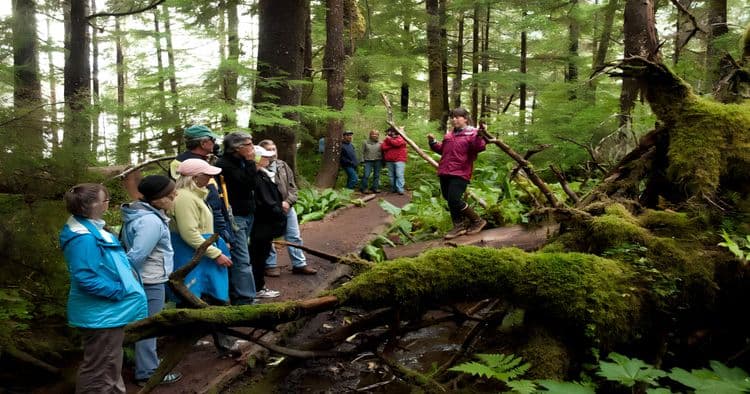 Rainforest Canoe & Nature Trail