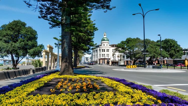 Art Deco & Hawkes Bay Highlights
