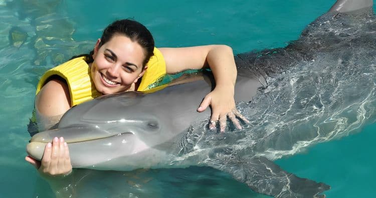 Dolphin Swim & Ride All Inclusive