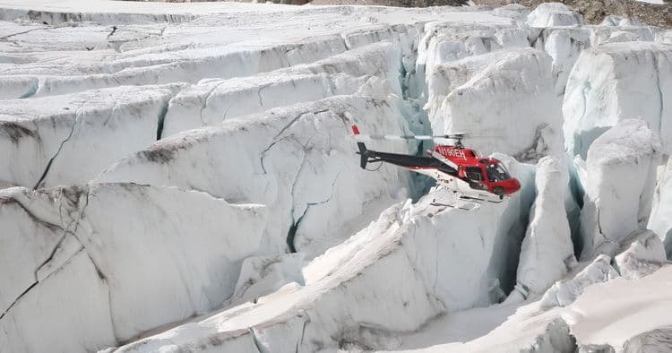Four Glacier Helicopter & Dogsled Adventure
