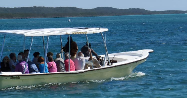 Eco Lagoon Tour