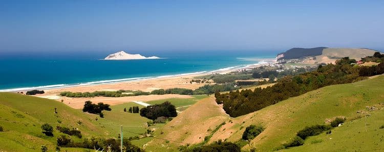 Hawkes Bay Horse Trekking