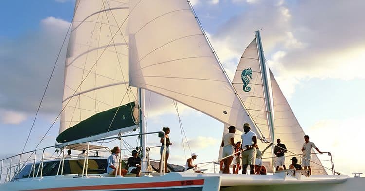 Catamaran Seaesta, Snorkel & Sail - Adult Only