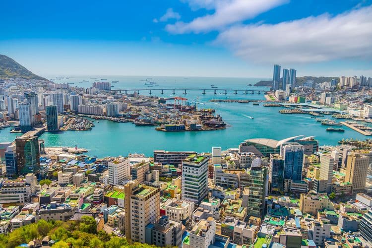 Best Of Busan