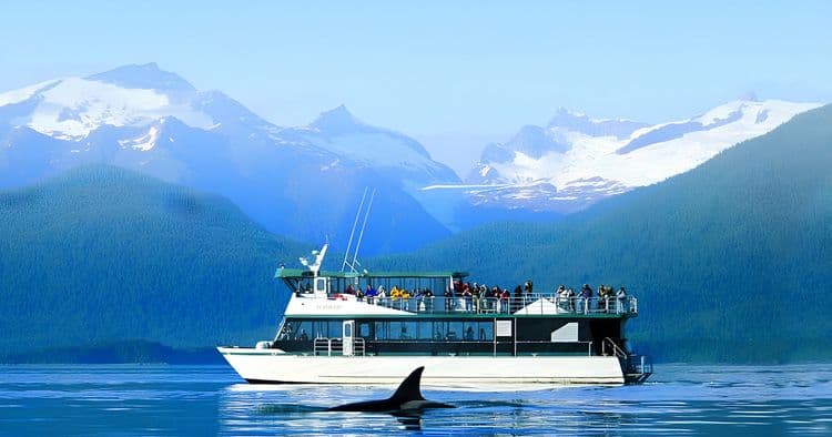 Whale Quest & Orca Point Lodge