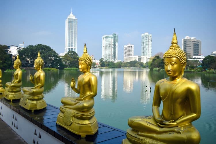 Easy Colombo