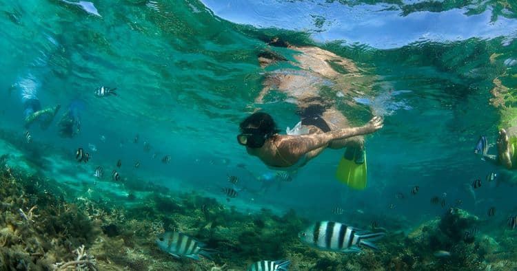 Beach Snorkel Adventure