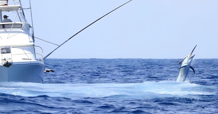 Off Shore Fishing
