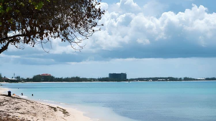 Dolphin Encounter And 7 Mile Beach