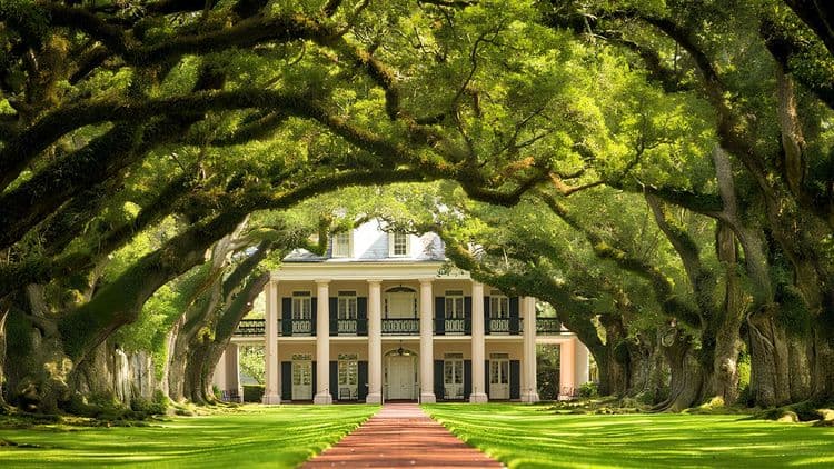Oak Alley Mansion & Plantation Tour
