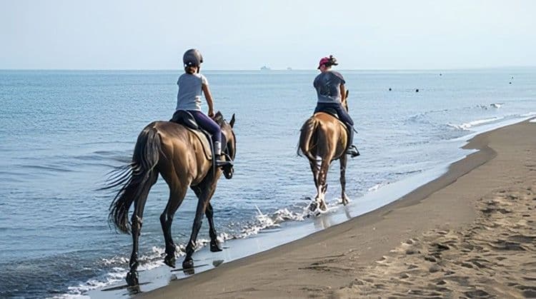 Horseback Riding On The Beach