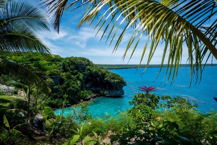 Hike Through Tropical Vegetation