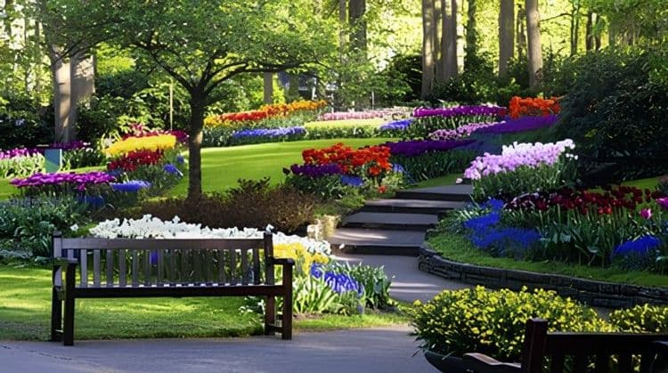 Keukenhof: Festival Of Tulips - For Fully Vaccinated Guests