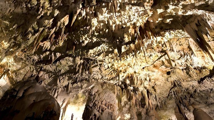 Can Marca Caves and Ibiza