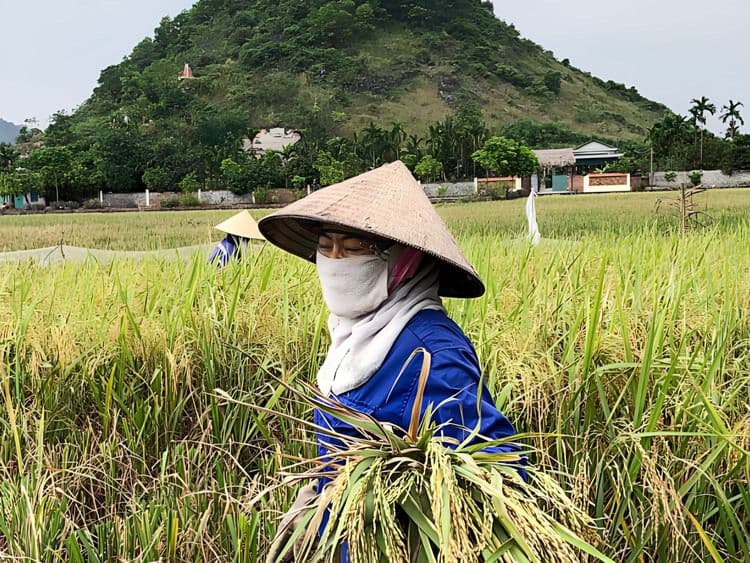 Yen Duc: A Traditional Village Visit