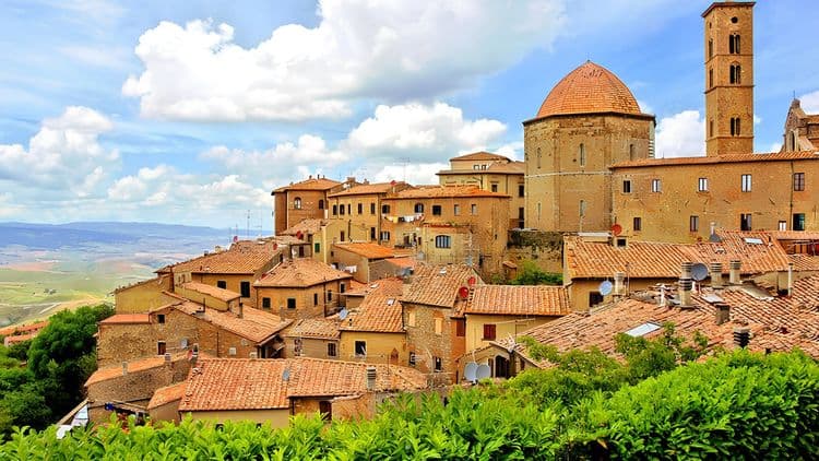 Italian Countryside and Olive Oil Taste