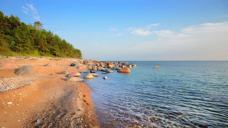 Seal-Spotting in North-Estonian Archipelago
