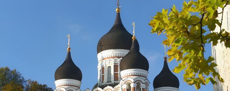 Tallinn Highlights
