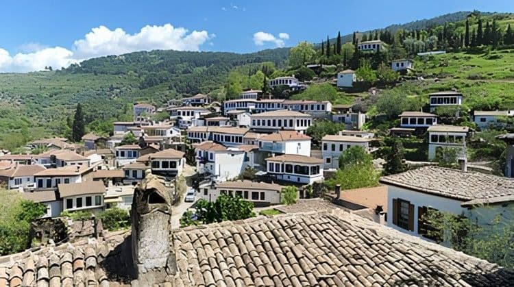 Turkish Vineyard Experience