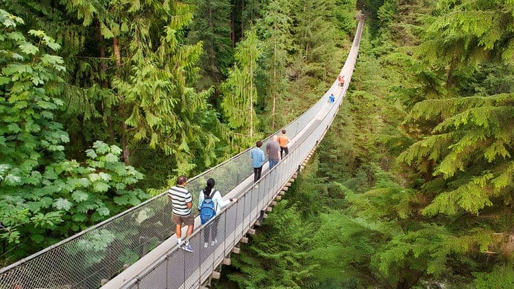 Northwest Exploration & Capilano Suspension Bridge with Airport Transfer