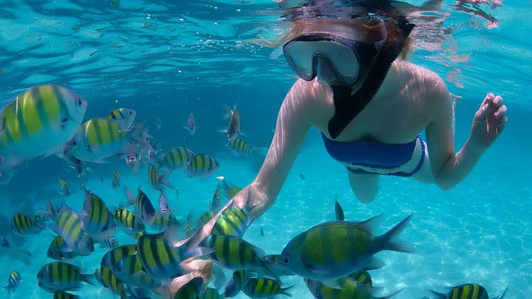 Chileno Bay Deluxe Snorkeling