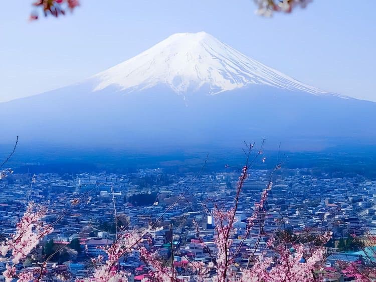 Fujisan Hongu Sengentaisha Shrine & Mt. Fuji World Heritage Centre