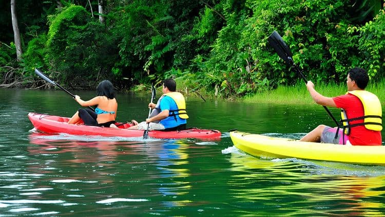 Gatun Lake Kayak and Eco Adventure