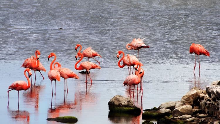Bonaire's Top Sights