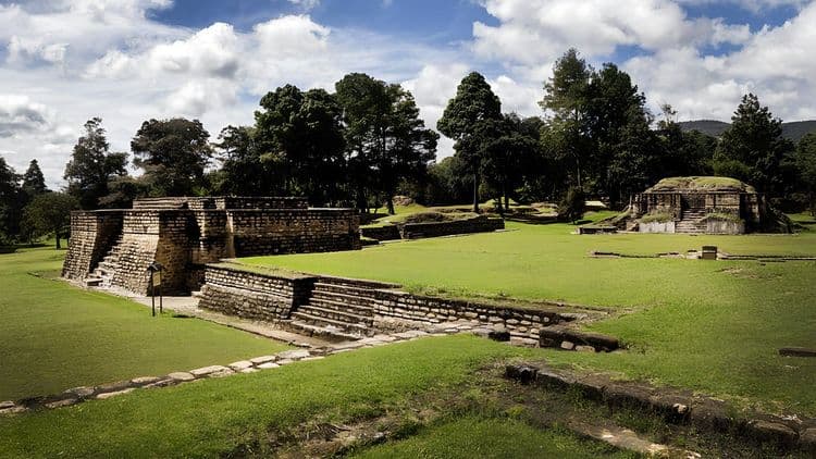 The Mayan Phenomenon