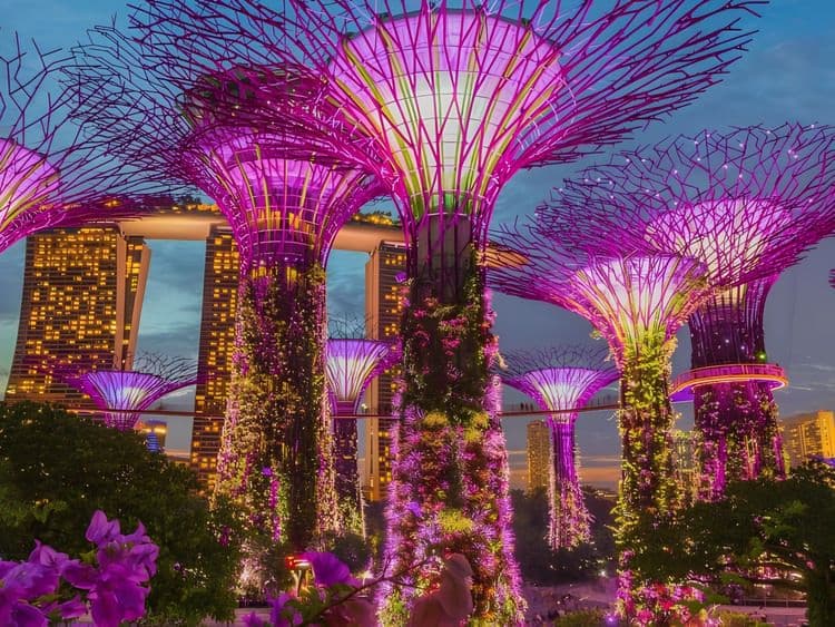 Gardens By The Bay & Marina Bay Sands Observation Deck