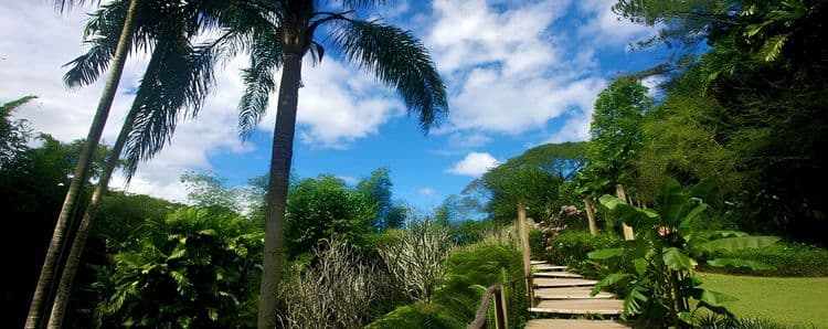 Nausori Farmers Market Scenic Drive