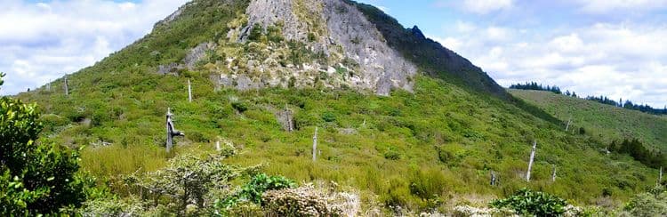 Guided Walk To Mt Cargill & The Organ Pipes