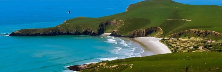 Nature's Wonders & Wildlife Cruise