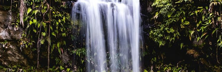 Nakawaqa Waterfall & Rainforest Tour