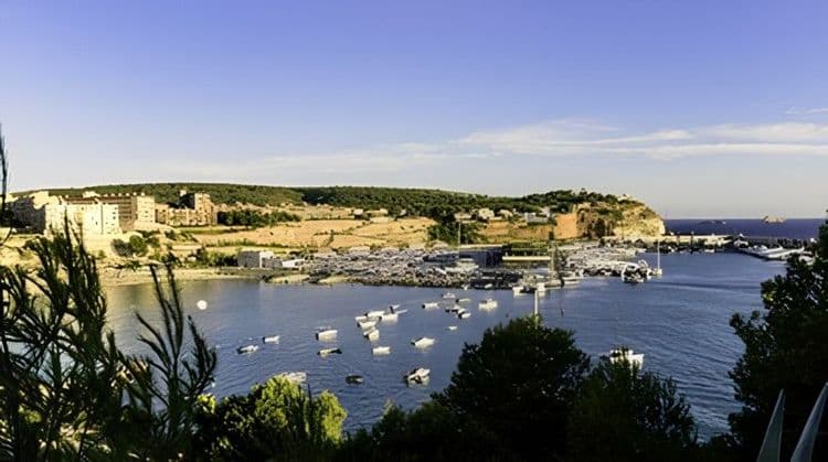 Port Adriano at Night