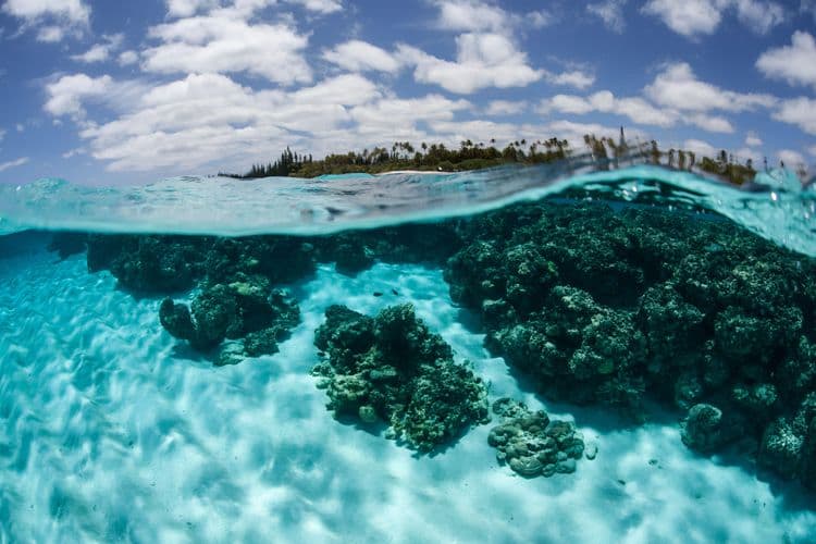 Snorkel In The Marine Reserve