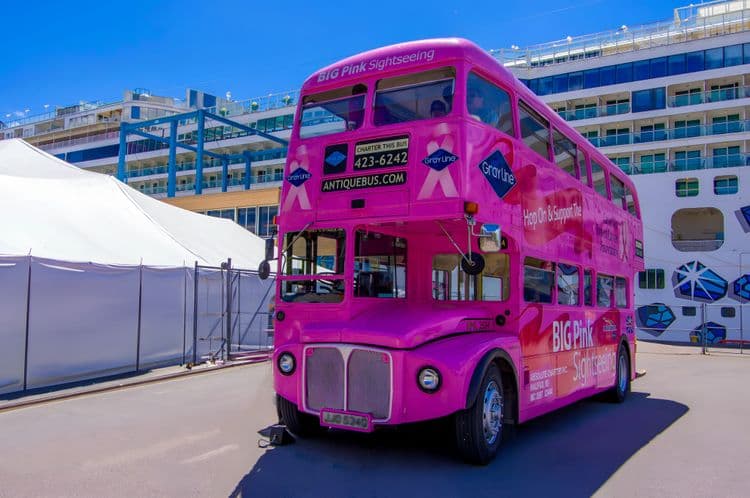 Sydney's History, Color & Culture by Big Pink Bus