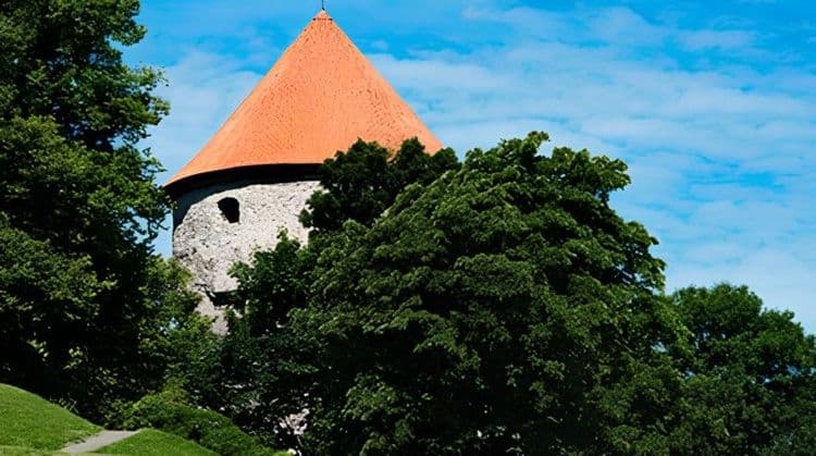 Retracing Tallinn's History: Seaplane Harbour & City Sights