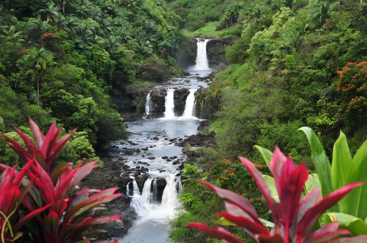 Jungle Falls Bike Adventure