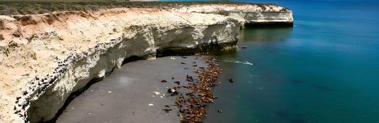 Sea Lion Reserve At Punta Loma & Estancia San Guillermo