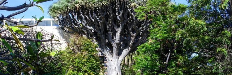Gardens Of The Valley