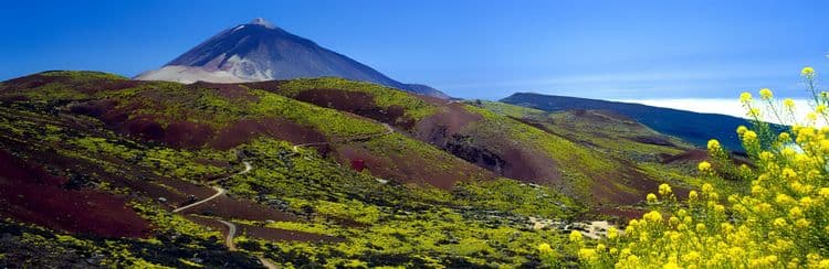 Mt Teide In Depth