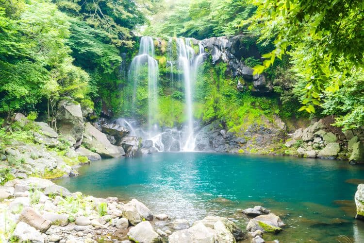 Breathtaking Waterfall & Temple
