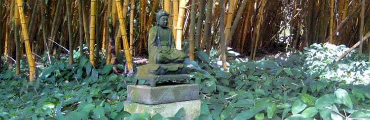 Jewels Of Hawaii: Allerton & McBryde Tropical Gardens & Waterfall