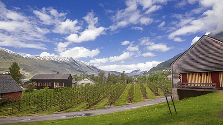 Hardanger Nature and Cider Tradition