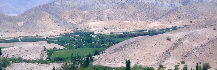 Scenes Of La Serena & Elqui Valley